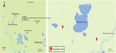 Comparative analysis of intestinal flora between rare wild red-crowned crane and white-naped crane